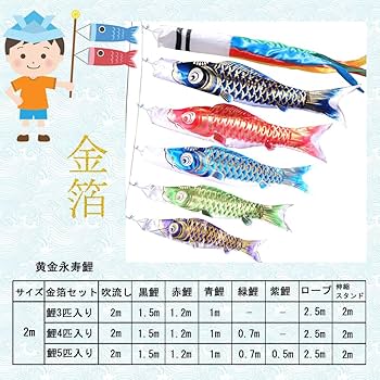Amazon | 鯉のぼり こいのぼり 黄金永寿鯉 2mフルセット 金箔